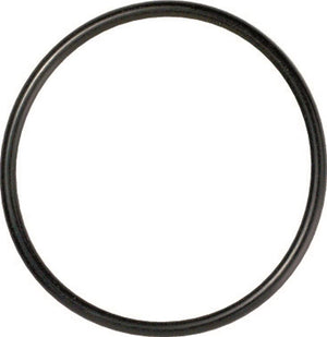 Gates 96-01 A4 (inc Quattro) / 95-04 A6 (inc Quattro) Thermostat Seal