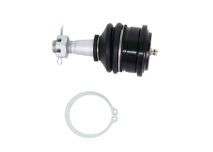 Whiteline 05-21 Nissan Frontier Fixed Offset UCA Replacement Ball Joint Kit