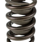 COMP Cams Valve Springs 1.440in OD