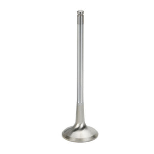 Supertech SB Chevy 1.625x.341x5.010in Chrome Undercut Exhaust Valve - Single (Drop Ship Only)
