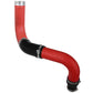 Photo - Unmounted