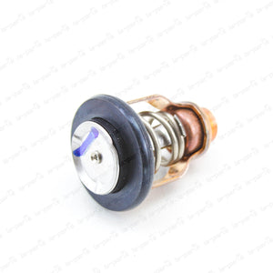 NEW GENUINE SUZUKI OUTBOARD FOUR STROKE THERMOSTAT 17670-90J01