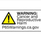 Russell Performance -6 AN male to 3/8in SAE quick-disconnect female (Blue Single)