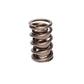 COMP Cams Valve Spring For 990-974