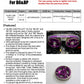 HKS SLIDE CAM PULLEY B6/BP