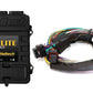 Haltech Elite 2500 Basic Universal Wire-In Harness ECU Kit