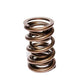 COMP Cams Valve Spring 1.550in Inter-Fit