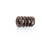 COMP Cams Valve Spring 1.550in Dirt/Late