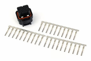 Haltech Nexus Series AMP 26-pin Key 1 - Plug & Pins Only