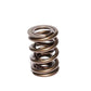 COMP Cams Valve Spring 1.630in Inter-Fit