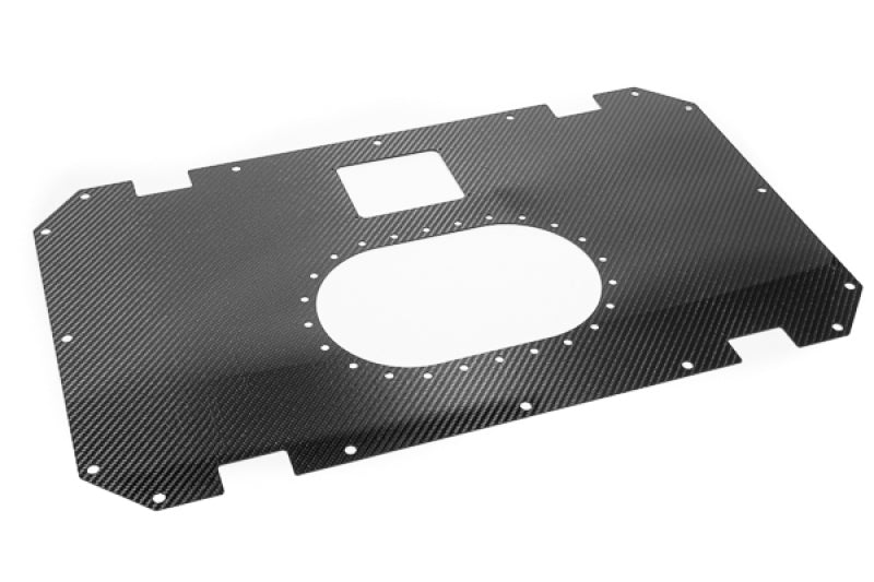 Radium Engineering Carbon Fiber Fuel Cell Lid - 10/14 Gallon