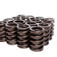 COMP Cams Valve Springs 1.437in Outer W/