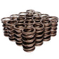 COMP Cams Valve Springs For 990-974