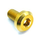 M8 x 1.25 x 15mm Titanium Motor Head Bolt