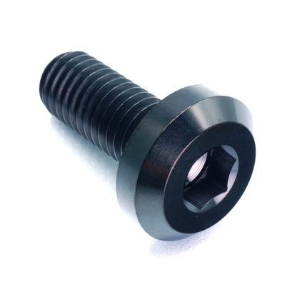 M8 x 1.25 x 20mm Titanium Motor Head Bolt