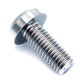 M8 x 1.25 x 20mm Titanium Motor Head Bolt