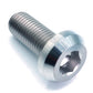 M10 x 1.25 x 25mm Titanium Motor Head Bolt