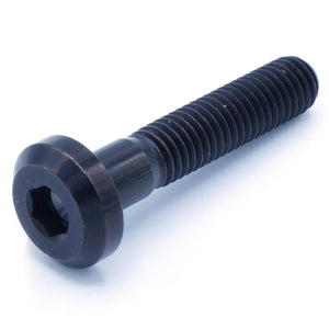 M8 x 1.25 x 40mm Titanium Motor Head Bolt