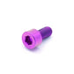M6 x 1.00 x 10mm Titanium Socket Cap Bolt