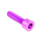 M5 x .8 x 20mm Titanium Socket Cap Bolt