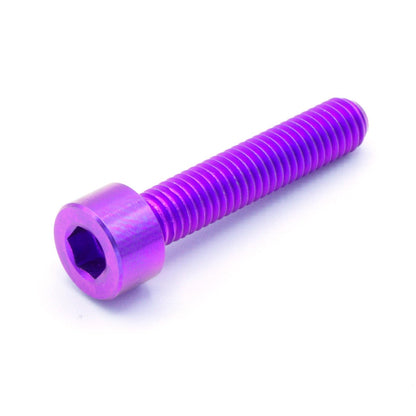 M5 x .8 x 25mm Titanium Socket Cap Bolt