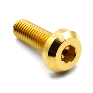 M8 x 1.25 x 25mm Titanium Motor Head Bolt