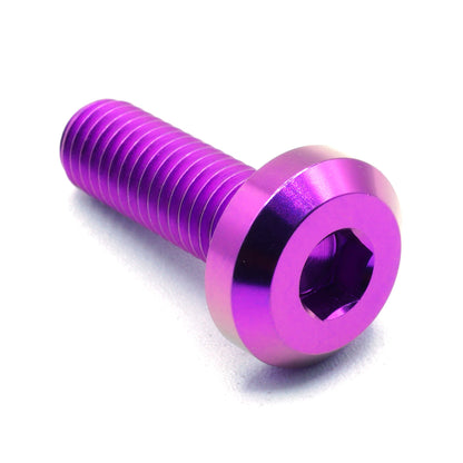 M8 x 1.25 x 25mm Titanium Motor Head Bolt