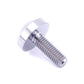 M5 x .8 x 15mm Titanium Motor Head Bolt