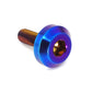 M5 x .8 x 15mm Titanium Motor Head Bolt