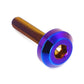 M5 x .8 x 25mm Titanium Motor Head Bolt