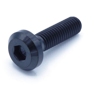 M8 x 1.25 x 30mm Titanium Motor Head Bolt