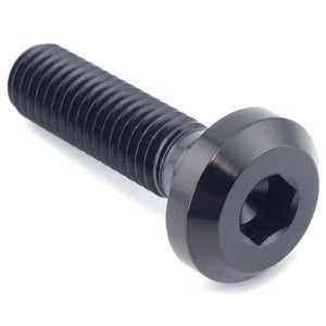 M8 x 1.25 x 30mm Titanium Motor Head Bolt