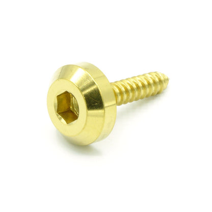 M4 x 1.4 x 20mm Titanium Motor Head Screw