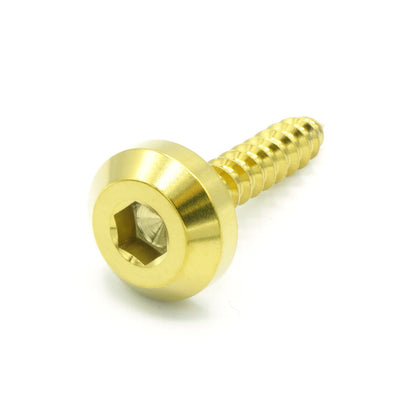 M6 x 1.50 x 15mm Titanium Motor Head Screw