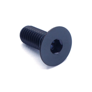 M8 x 1.25 x 20mm Titanium Countersunk Bolt