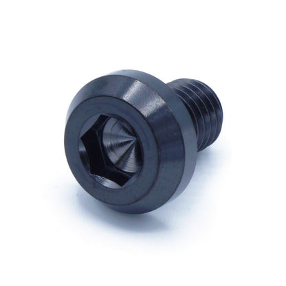 M10 x 1.50 x 15mm Titanium Motor Head Bolt