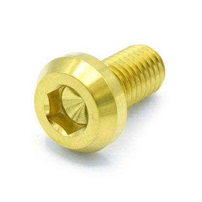 M10 x 1.50 x 20mm Titanium Motor Head Bolt