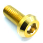 M10 x 1.50 x 25mm Titanium Motor Head Bolt
