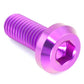 M10 x 1.50 x 25mm Titanium Motor Head Bolt
