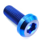 M10 x 1.50 x 30mm Titanium Motor Head Bolt