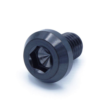 M10 x 1.25 x 15mm Titanium Motor Head Bolt