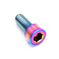 M6 x 1.00 x 25mm Titanium Socket Cap Bolt