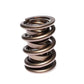 COMP Cams Valve Spring 1.550in H-11 Asse