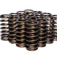 COMP Cams Valve Spring 1.025in Inner