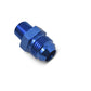 Russell Performance -8 AN to 3/8in NPT Straight Flare to Pipe (Blue)