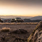 Photo - lifestyle view