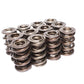 COMP Cams Valve Springs 2.100in Triple D