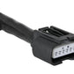 Photo - Close Up