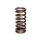 COMP Cams Valve Spring 1.025in Inner