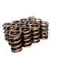 COMP Cams Valve Spring 1.550in Inter-Fit